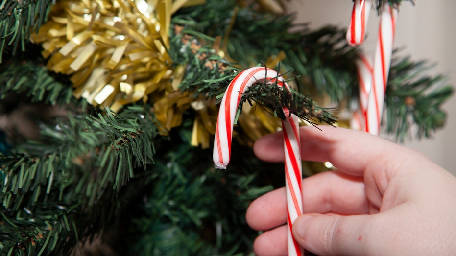 Candy cane being put on Christmas tree