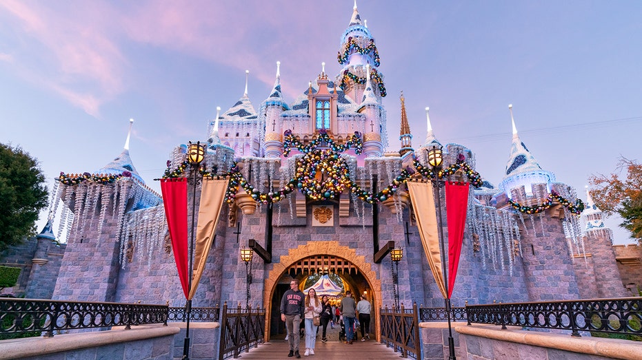 Disneyland castle holiday 2022