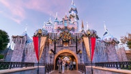 Disneyland places restriction on popular holiday item, as demand soars