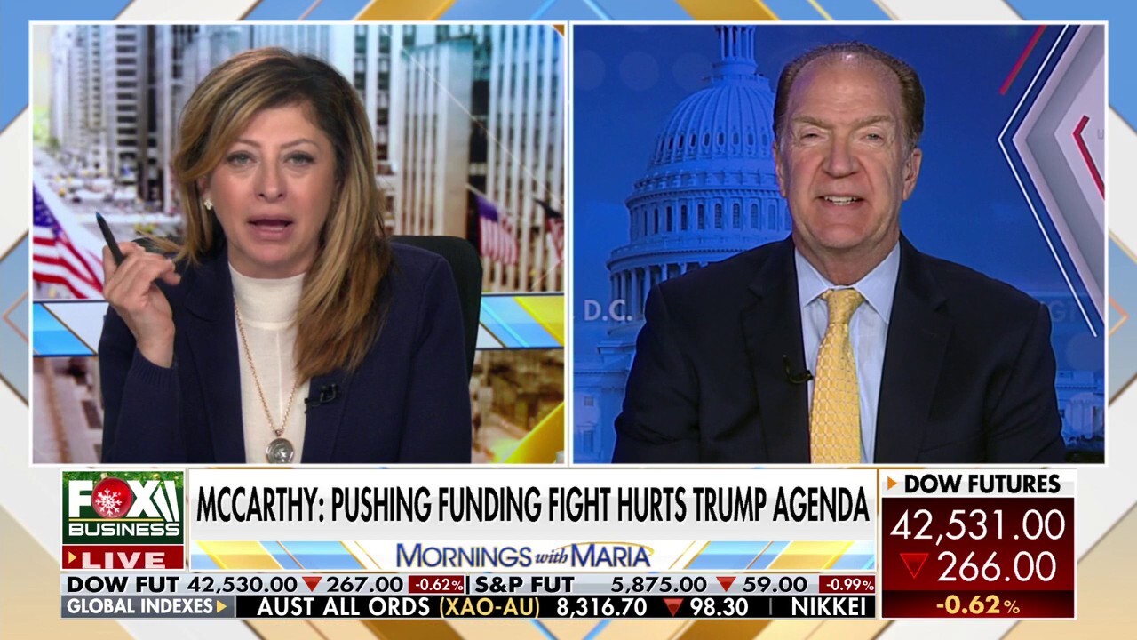 Former World Bank President David Malpass joins ‘Mornings with Maria’ to discuss the deadline for a government spending bill and how it could impact President-elect Donald Trump’s agenda.