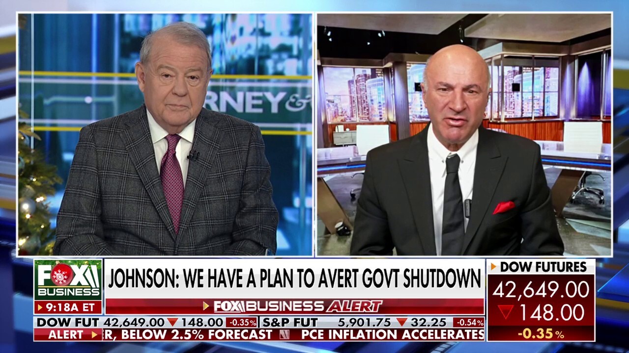 O'Leary Ventures Chairman Kevin O'Leary reacts to a potential delay on a third continuing resolution vote and lawmaker calls for a debt ceiling, and says he's still interested in buying TikTok.