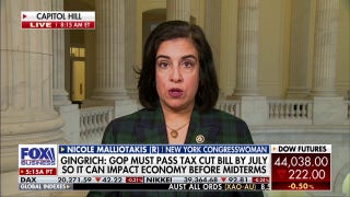 This 'will be hurtful' to American families, Rep. Malliotakis warns - Fox Business Video