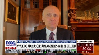 Vivek Ramaswamy, Elon Musk are the team that can cut back: Former CKE Restaurants CEO Andy Puzder - Fox Business Video