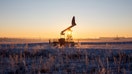 An oil pumping jack, also known as a &quot;nodding donkey&quot;, in an oilfield near Dyurtyuli, in the Republic of Bashkortostan, Russia, on Thursday, Nov. 19, 2020. The flaring coronavirus outbreak will be a key issue for OPEC+ when it meets at the end of the month to decide on whether to&Acirc;&nbsp;delay&Acirc;&nbsp;a planned easing of cuts early next year. Photographer: Andrey Rudakov/Bloomberg via Getty Images