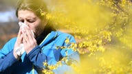 AI-powered app offers personalized allergy forecasts